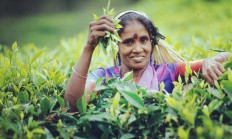 开云官网-斯里兰卡队选手勇斗奋斗，荣耀夺冠