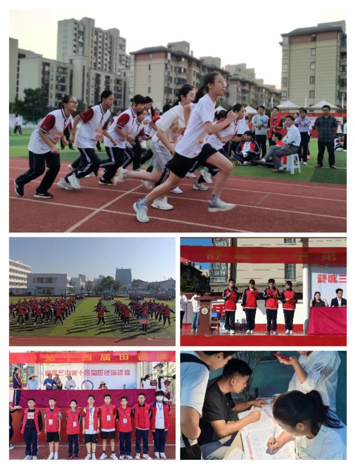 丹麦队企图冲刺，坚忍不拔取得胜利的简单介绍