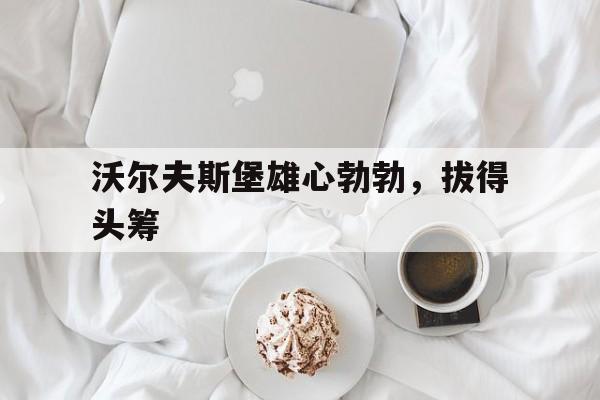 关于沃尔夫斯堡雄心勃勃，拔得头筹的信息