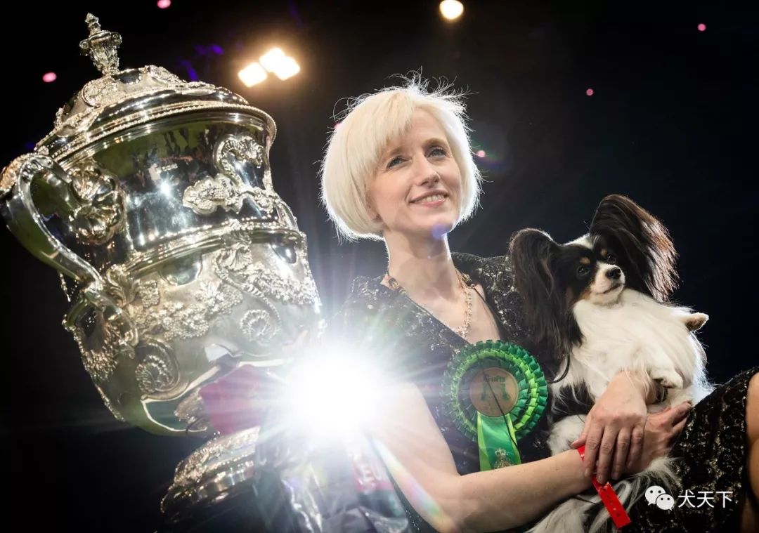 经过激烈角逐,最终傲视群雄 经过激烈角逐,最终傲视群雄