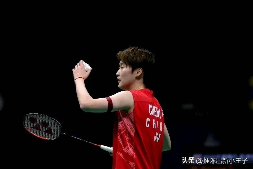 德国队翻盘法国队，陈雨菲高光表现的简单介绍